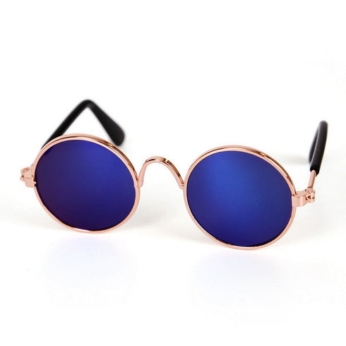 Coloured Dog Glasses